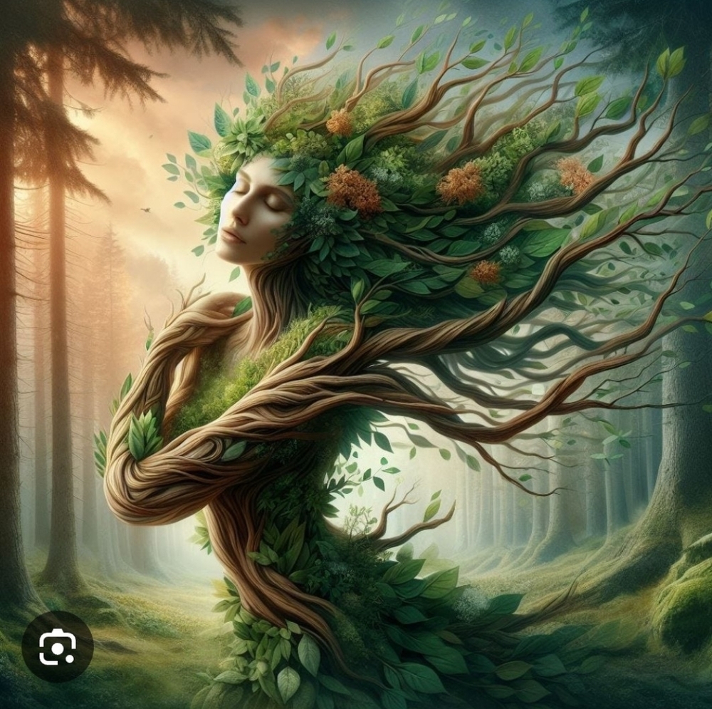 Meet your Posher, Teodora